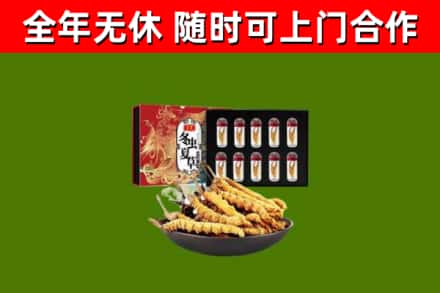 祥符回收冬虫夏草价格